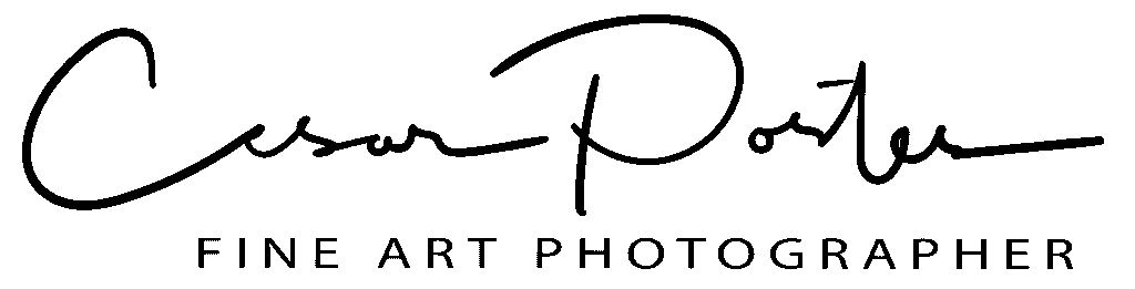 Cesar Portes Logo